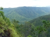 The ecosystem that Europeans do not expect in the Caribbean are large mixed forests with a dominant pine in the Mountain Pine Ridge area